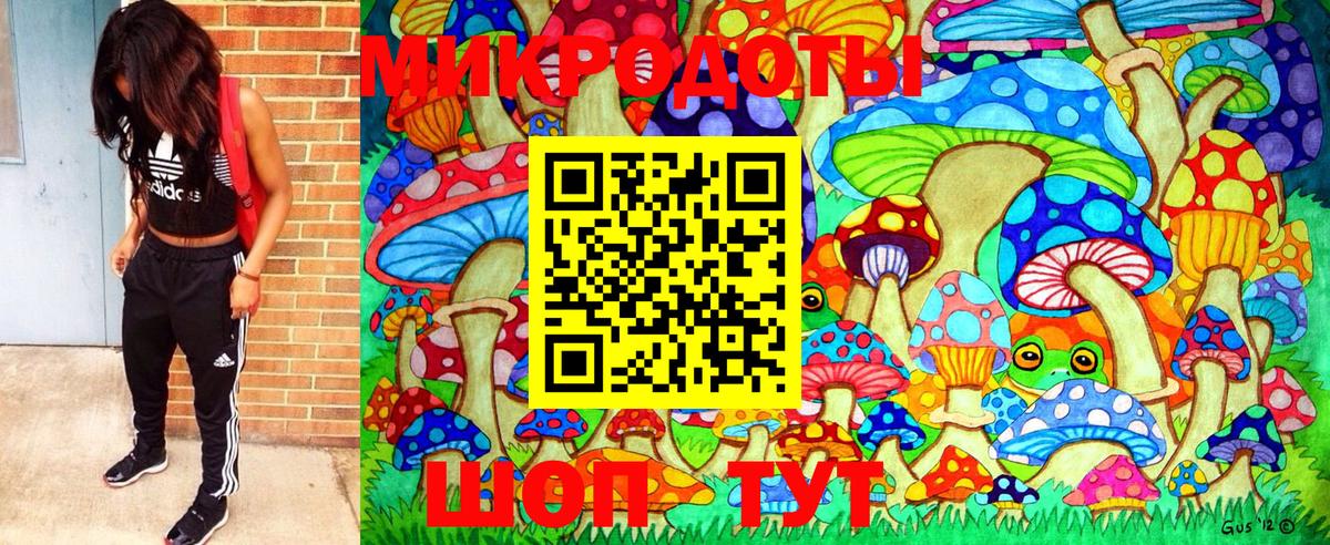 Тара  Псилоцибиновые грибы ЛСД  Вход с VPN 