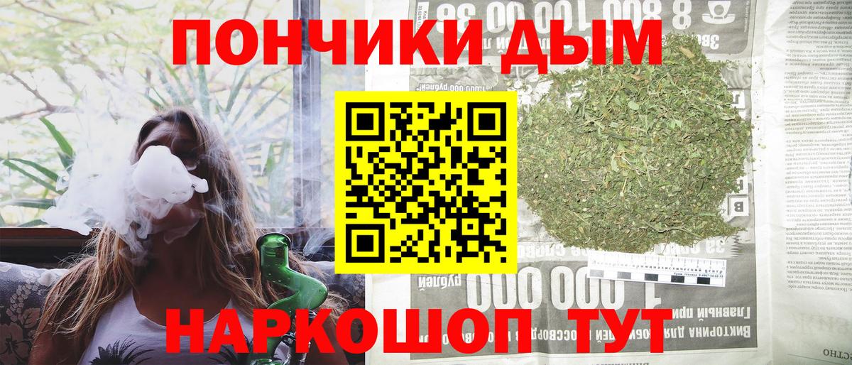 Тара  Канабис OG Kush  Бошки марихуана планчик  Вход с VPN  Марихуана OG Kush 